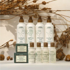 Collection image for: Aveda Rosemary Mint Premium Collection