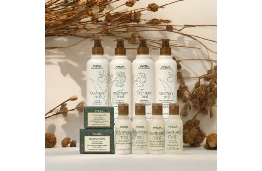 Aveda Rosemary Mint Premium Collection